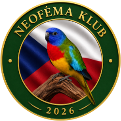 Neoféma klub